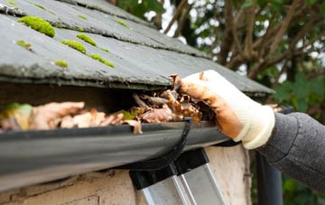 gutter cleaning Frognal, South Ayrshire