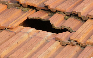 roof repair Frognal, South Ayrshire
